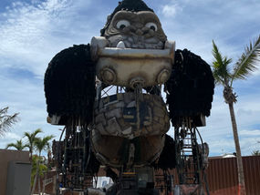 Monkeying Around at Puerto Plata in the Dominican Republic