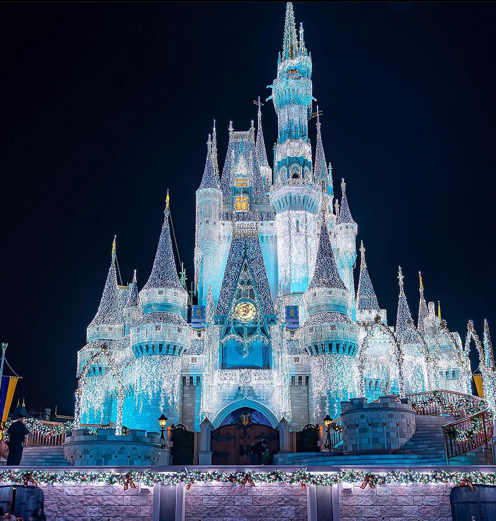Walt Disney World Castle