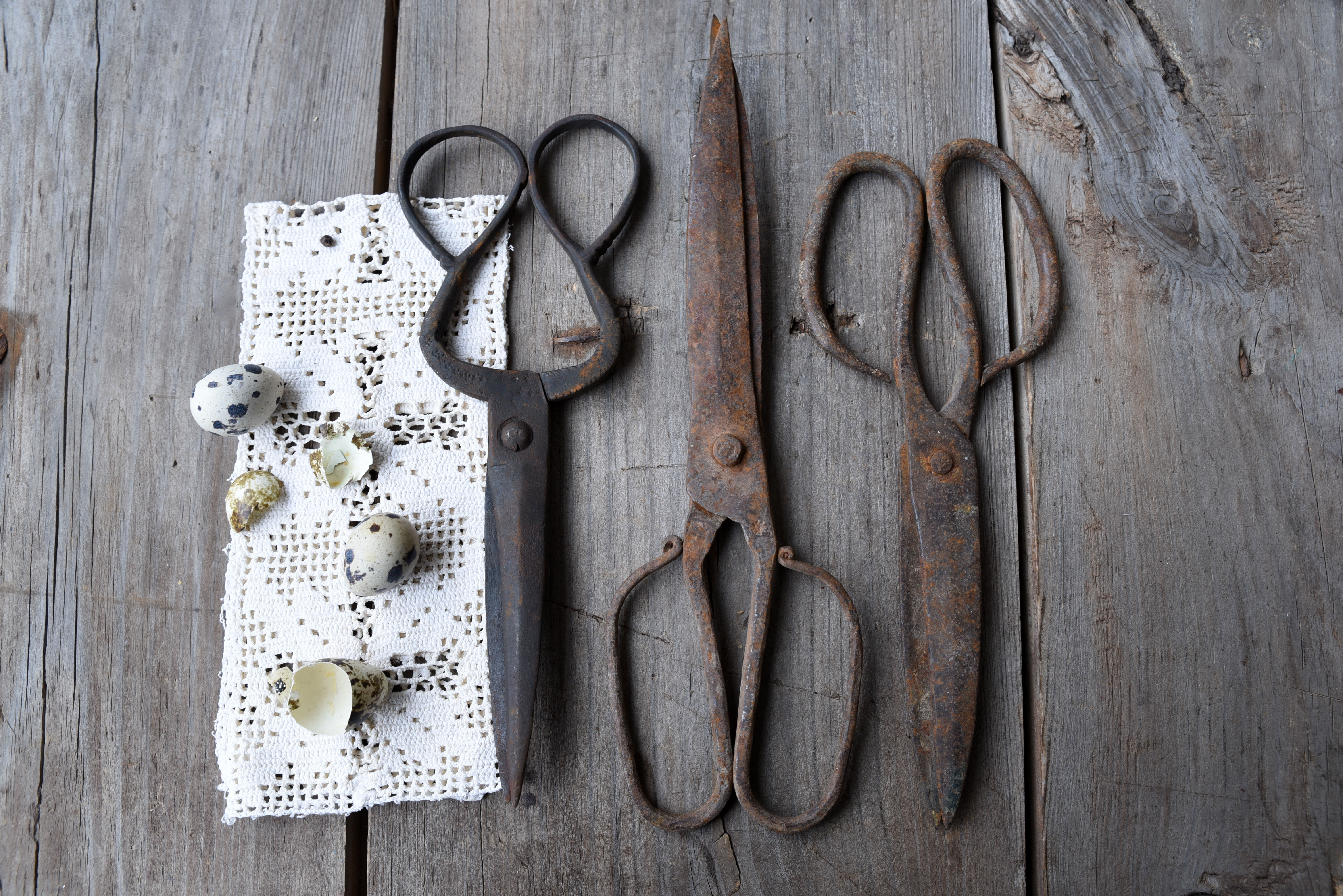 Antique rustic iron scissors with rich patina – vintage farmhouse decor prop