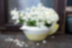 Hand-glazed ceramic soup tureen from a colorful vintage tableware set, ideal for French country decor