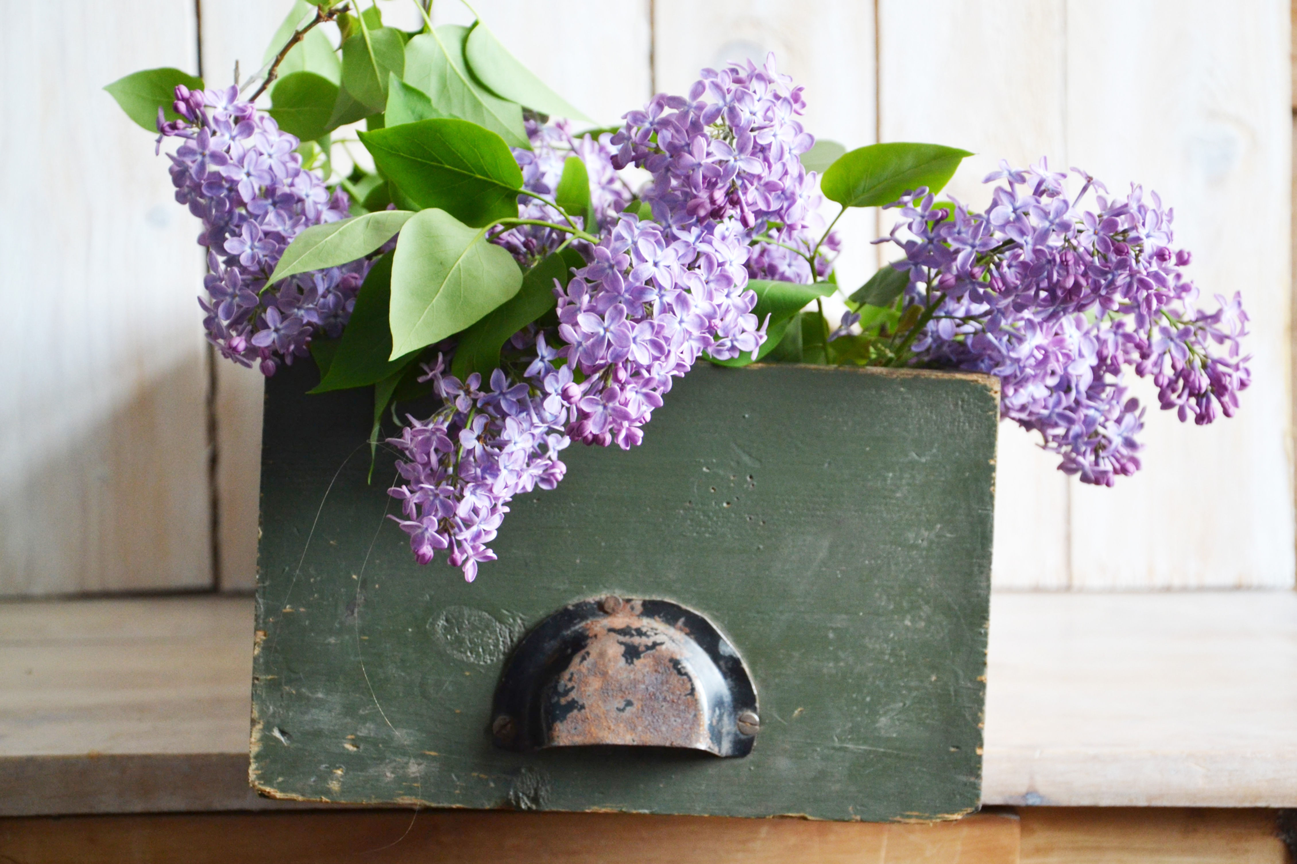 Vintage wooden drawer with green paint and metal handle rustic farmhouse decor