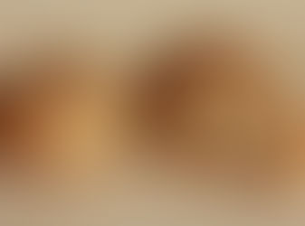 Aveia + Receita de Pão de aveia!