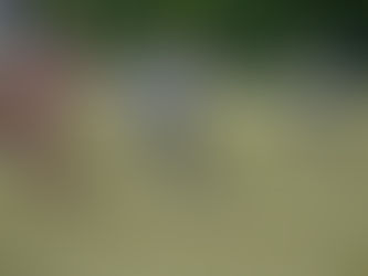 Union II siegt auswärts in Vohwinkel