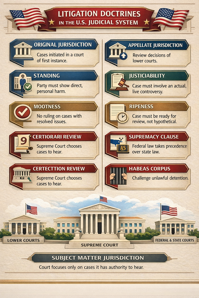 Litig Doctrines.png