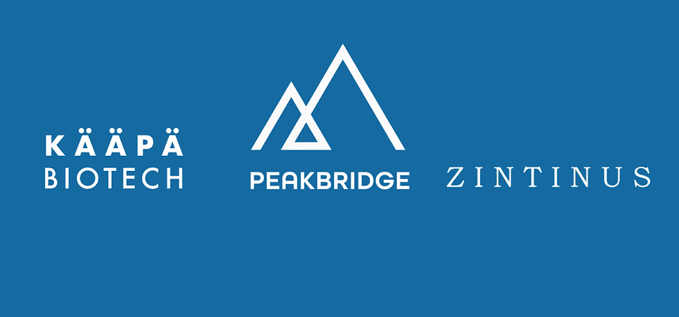 Sininen tausta, kolme valkoista logoa: KÄÄPÄ Biotech, PeakBridge ja Zintinus. 
