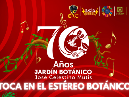 ¡El Jardín Se Toma el Ritmo! Llega “Toca en el Estéreo Botánico”, el Escenario Verde para Músicos Emergentes