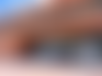 Exposiciones 2026: arte, memoria e ilustración para celebrar los 25 años de BibloRed