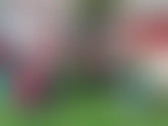 ¡Radio Rebel se toma el parque de Villa María 2 en Suba! Una señal de resistencia, verdad y comunidad
