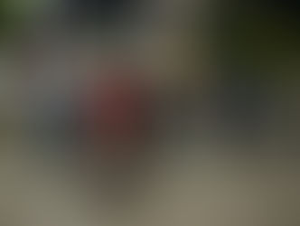 Noche Viva: la Ciclovía Nocturna llenó de vida las calles de Bogotá