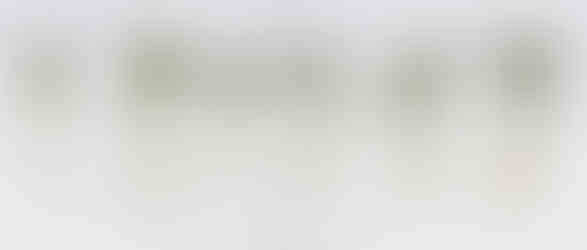 SAT_Pythium_Grid_Met_CruM_C-2023FI_C-3023FI_LumiPri_UI_03242025