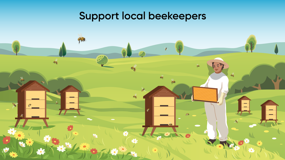 Pollinator week illustration_06112025-03