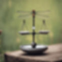 simple balancing scale with a dragonfly on it.jpg