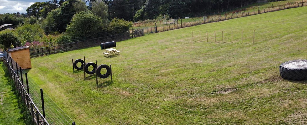 secure-private-dog-park-edinburgh