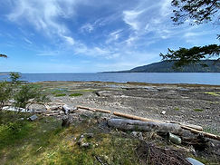 Denman Island.jpg