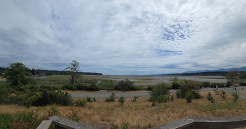 Tide Is Out.jpg