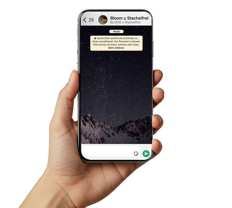 Beige Minimalist Hand Holding Phone Mockup Instagram Post (1).jpg