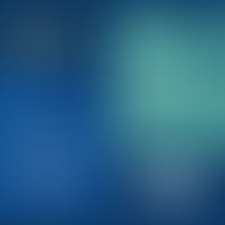 Do You Need To Put Your Rental Property in an LLC?