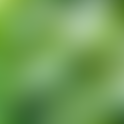 Lorem ipsum dolor sit amet