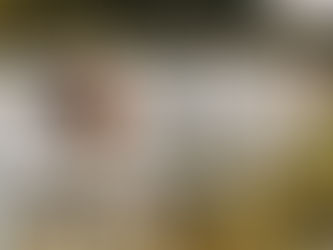 The Importance of Professional Boundaries in Vineyard Wedding Planning