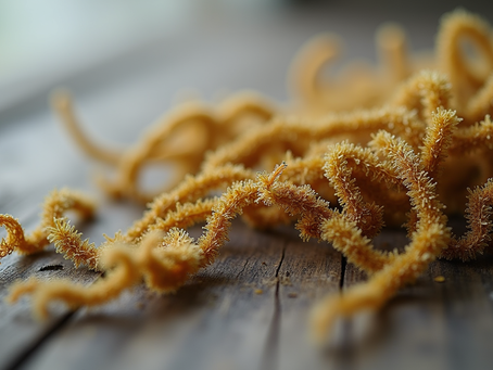 Understanding the Sea Moss Health Trends: The Rise of Sea Moss Me Now
