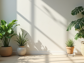 Explorando los placeres de la curación natural en Orangeburg con remedios herbales y guía espiritual