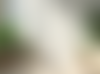 Explorando los placeres de la curación natural en Orangeburg con remedios herbales y guía espiritual