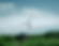 A wind turbine stands tall against a blue sky with scattered clouds, surrounded by dense green foliage, creating a peaceful, eco-friendly scene.
