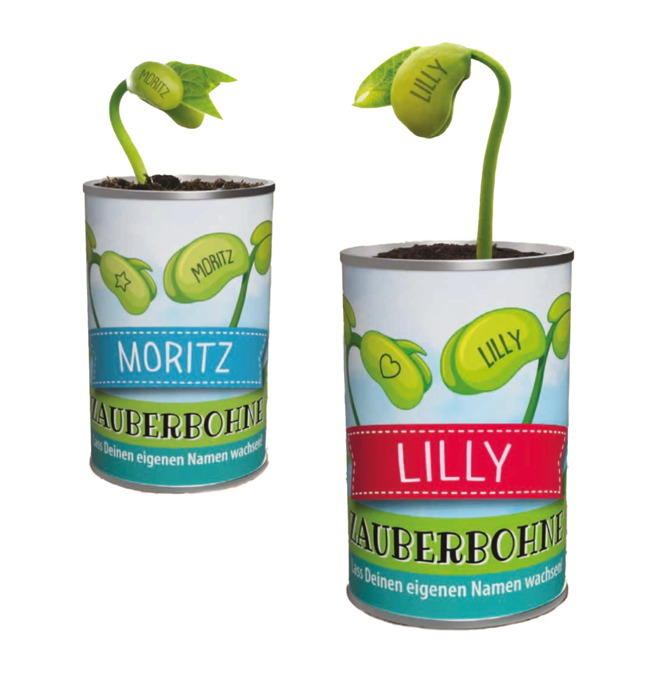 Magische Zauberbohne