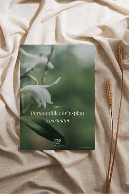 Persoonlijk adviesrapport. png.png