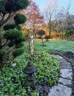 WhatsApp Image 2026-01-03 at 12.19.33.jpeg