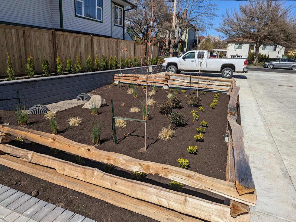 PXL_20230330_204245499