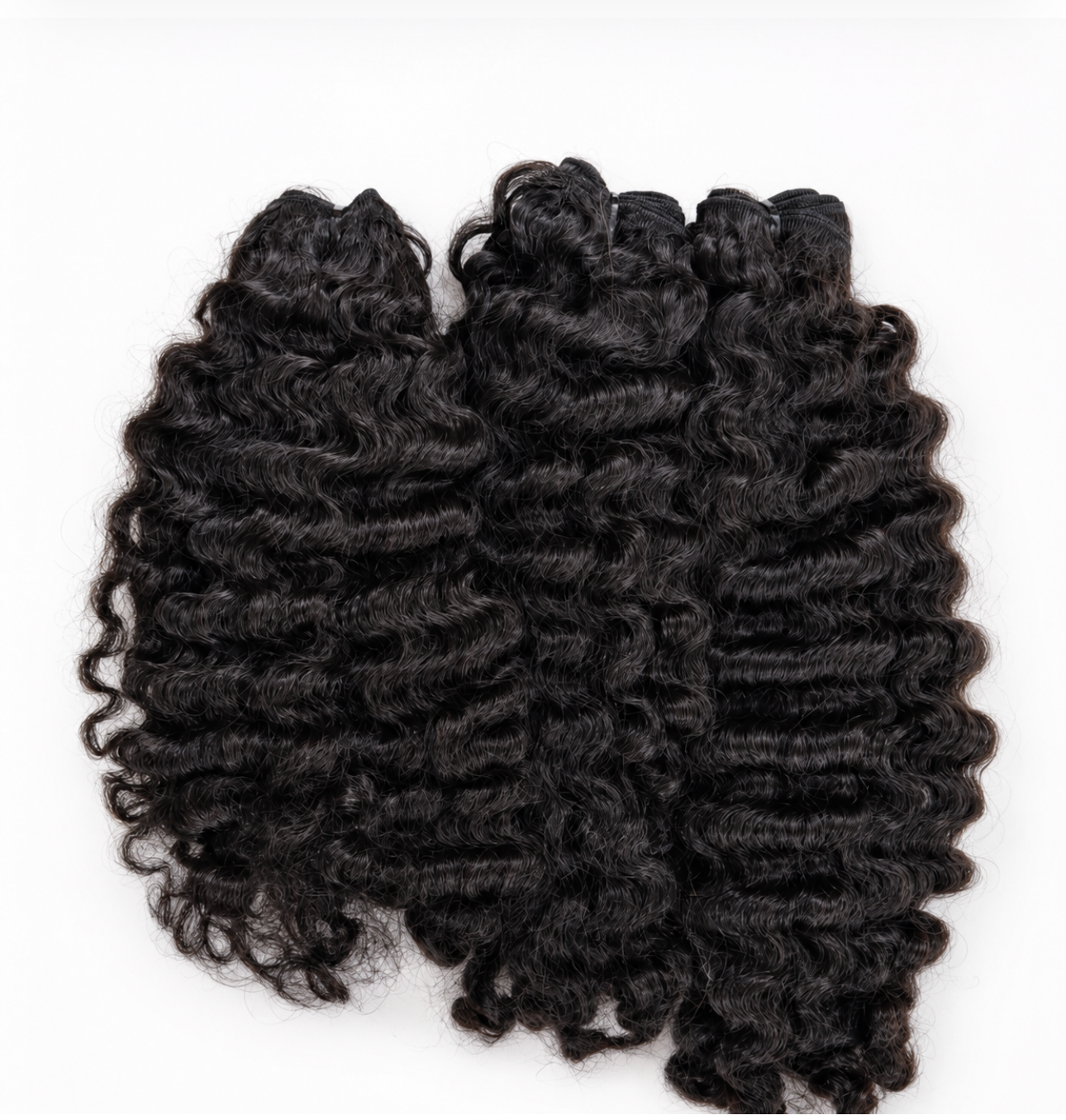 Burmese Curly