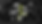 MLK-Dream-Run-Logo-Banner2_edited.png