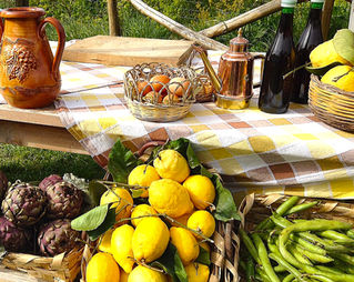 FORUM AGRONETWORK: IL MADE IN ITALY SI CONFERMA UN DRIVER DI FIDUCIA ALIMENTARE