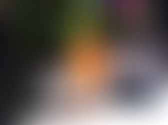 Dianella, Il vino di Vinci