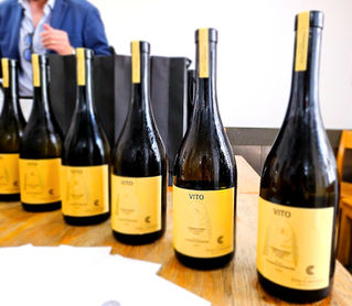 Morro d'Alba e Verdicchio