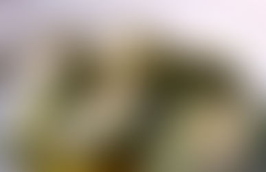 Gnudi burro e salvia