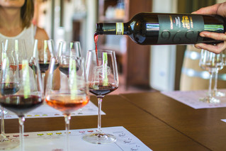 Annabella Pascale di Artimino nel Consiglio del Movimento Turismo del vino Toscana