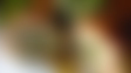 Il mio rollé di pollo