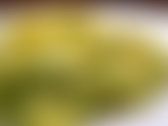 Penne con asparagi in mimosa d'uovo