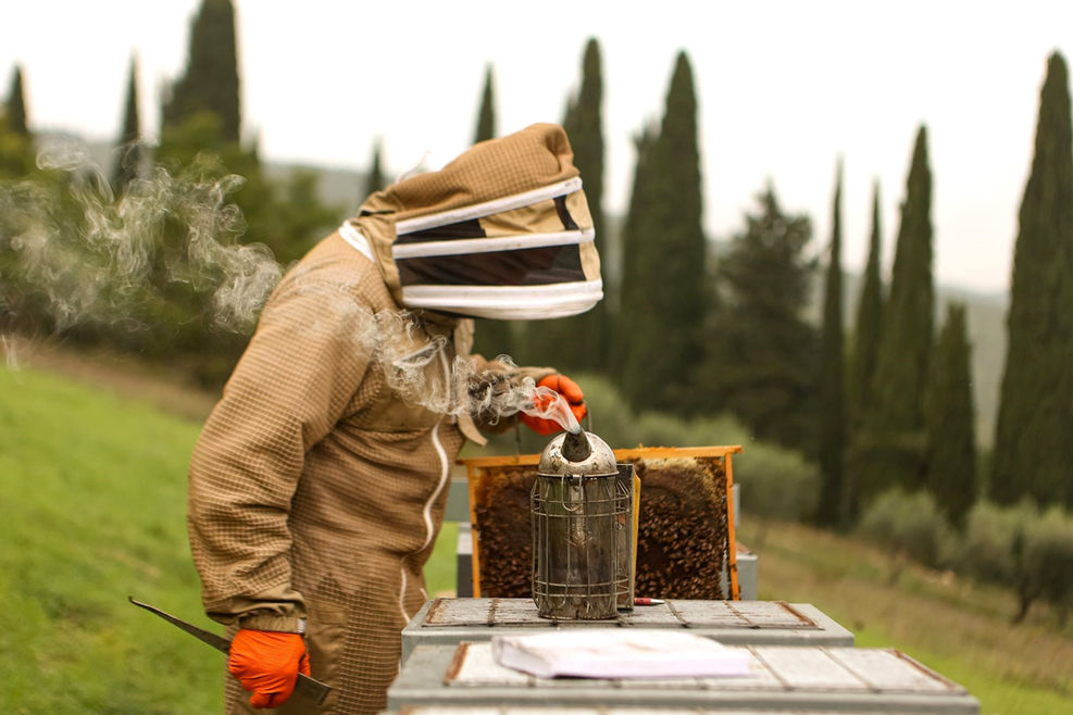 Le api scelgono il Chianti Classico