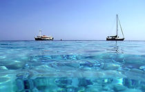 mare_edited.jpg