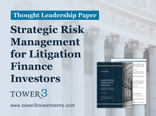 Strategic Risk Management for Litigation Finance Investors
