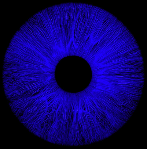 a close up of an eye with a black backgr