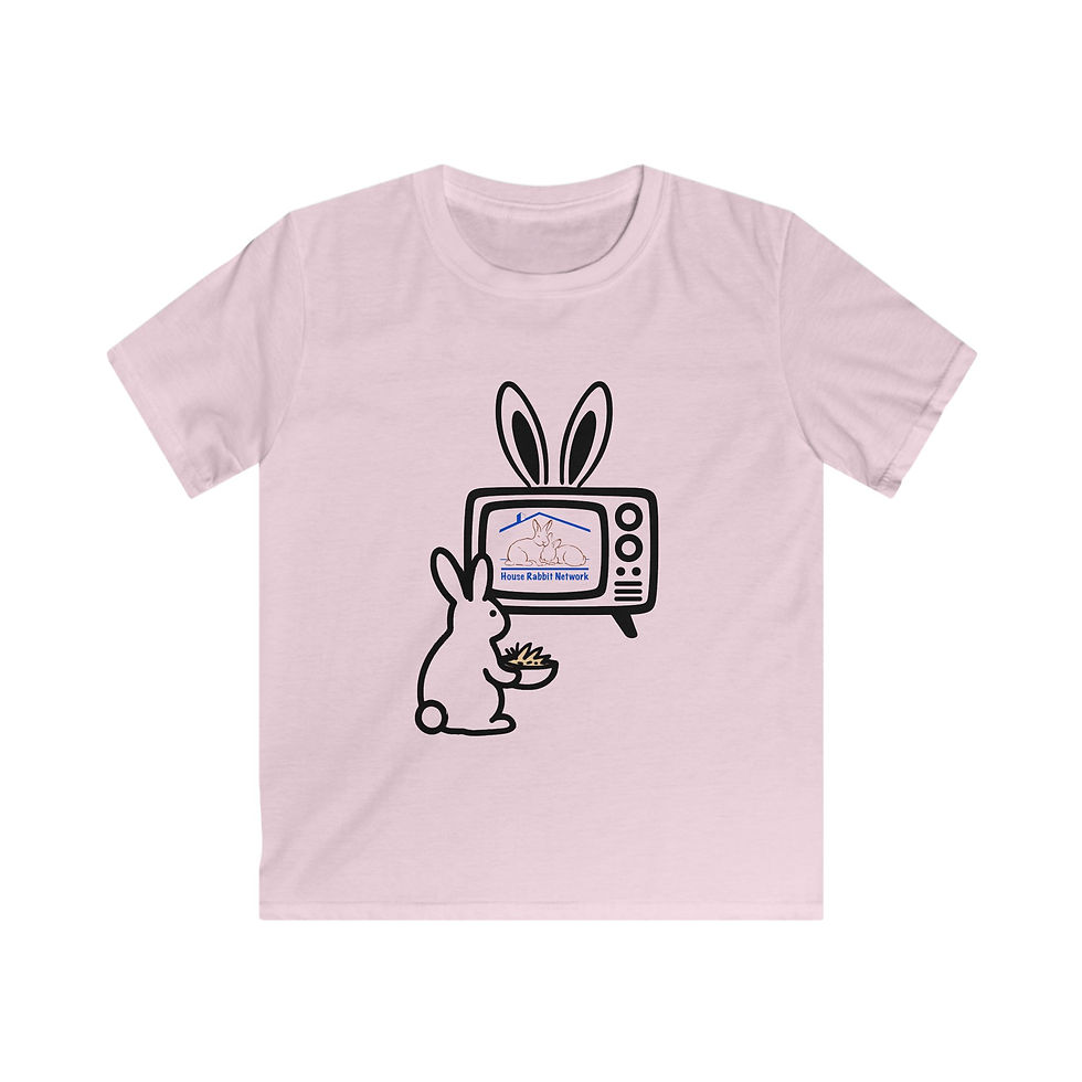 Thumbnail: House Rabbit Network Bunny Retro TV Shirt - Kids Tee