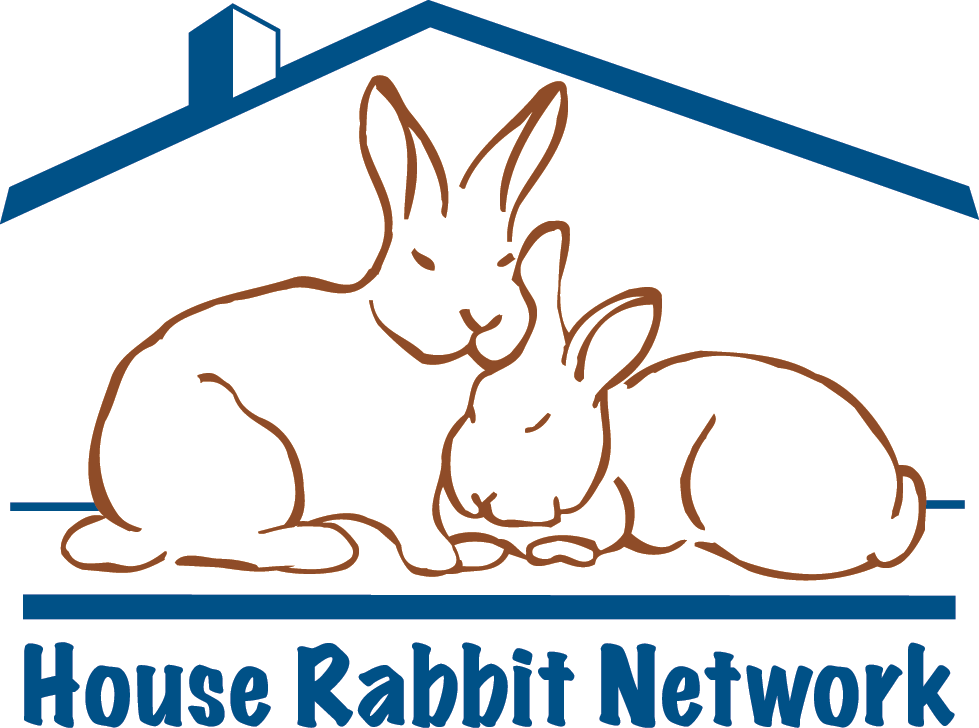 house rabbit network bunny sitting