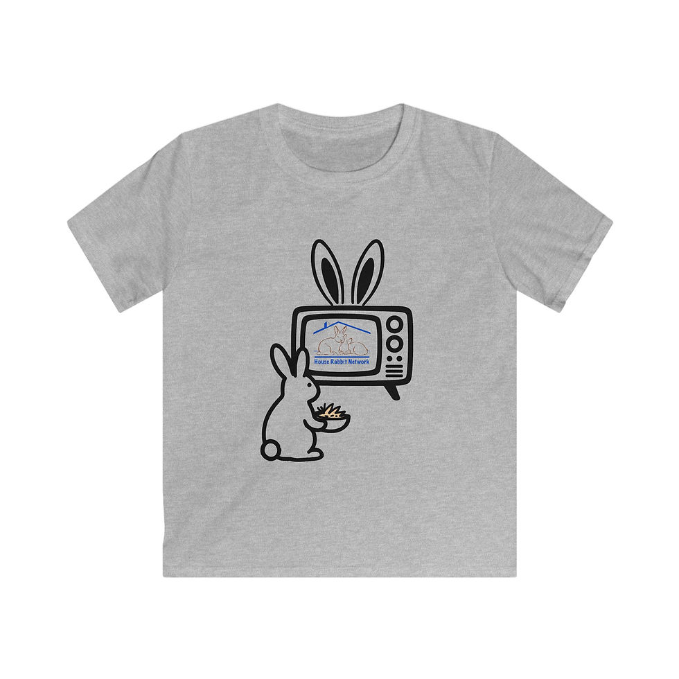 Thumbnail: House Rabbit Network Bunny Retro TV Shirt - Kids Tee