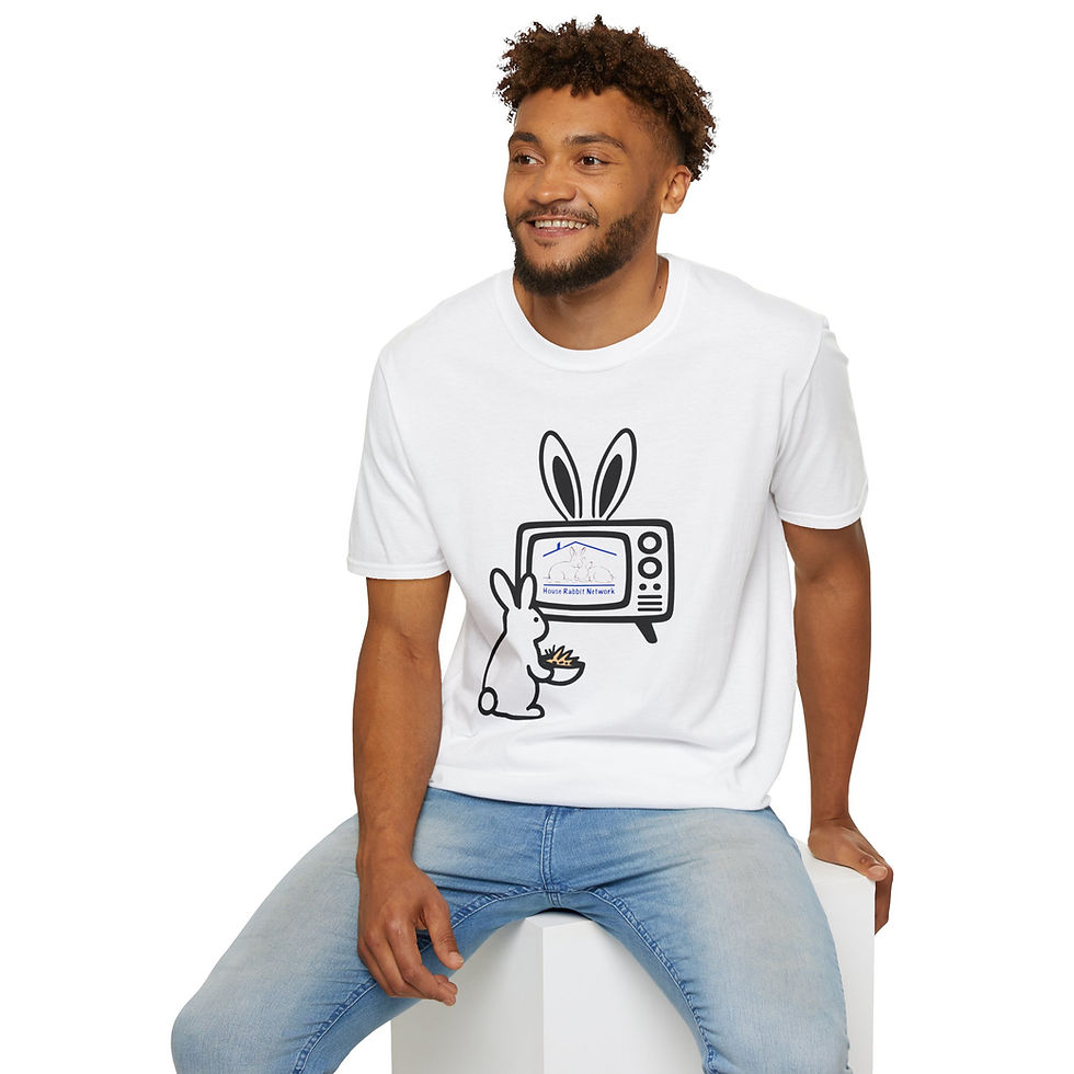 Thumbnail: House Rabbit Network Bunny Retro TV Shirt