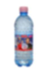 ION 0,5 liter.jpg