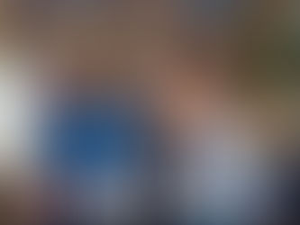 Klarer 3:0-Sieg des VCO Dresden gegen den TV Hörde